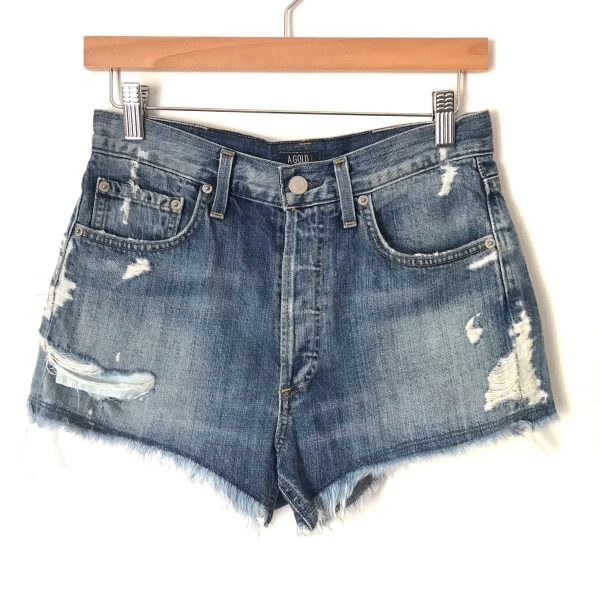 Agolde “Parker” Distressed Denim Cutoff Shorts- Size 24 Online Sale