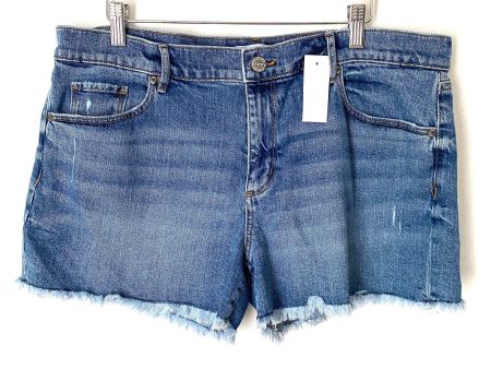 LOFT Distressed Jean Shorts NWT- Size 32 14 For Sale