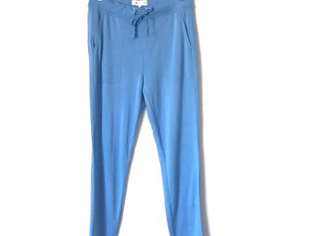 Lou & Grey for LOFT Blue Sweatpants- Size XS (we have matching sweatshirt) Fashion